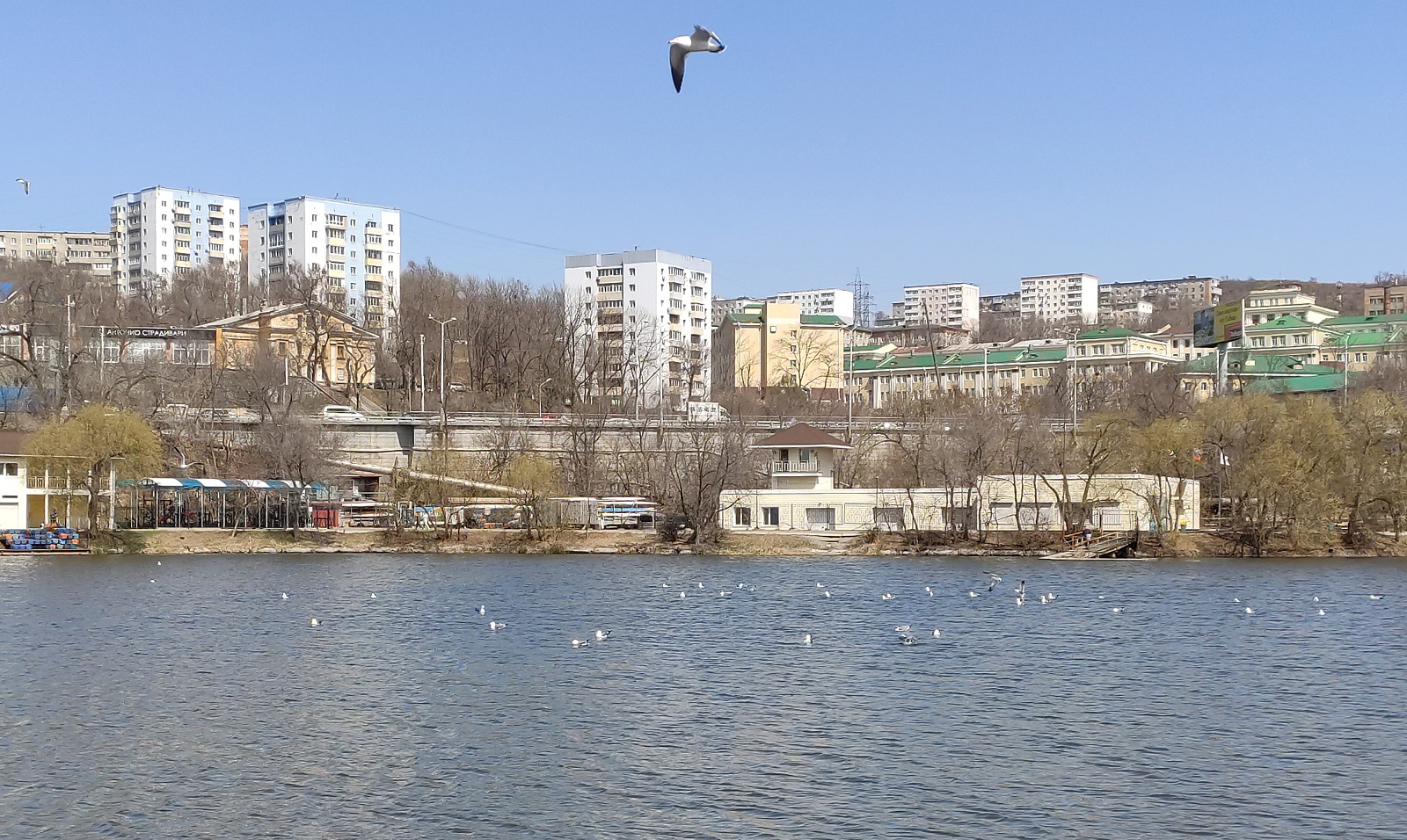 Весенний Чан , апрель 2024. Владивосток