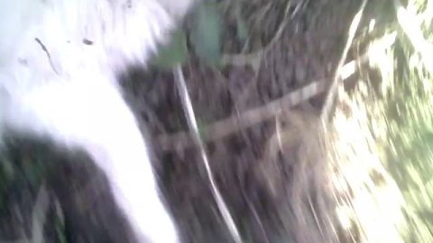 Гетерохромия . Разный цвет глаз . heterochromia .