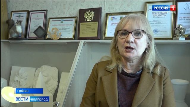 Губкинская детская художественная школа получила новый методический фонд