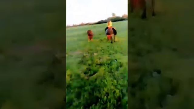 Пошли сегодня в поля😊