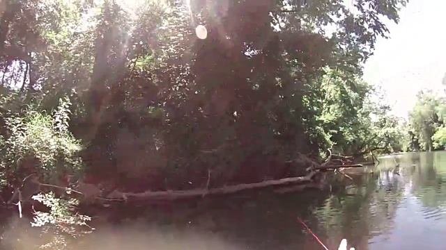 Canoeing , And Fishing On The Flint River