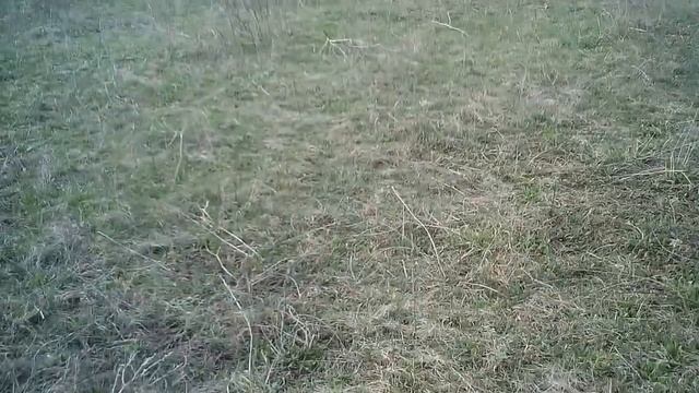 1 мая 2017 года-Первомай.Поздравление с праздником.Миртрудмай.С днём весны и труда.Часть-1