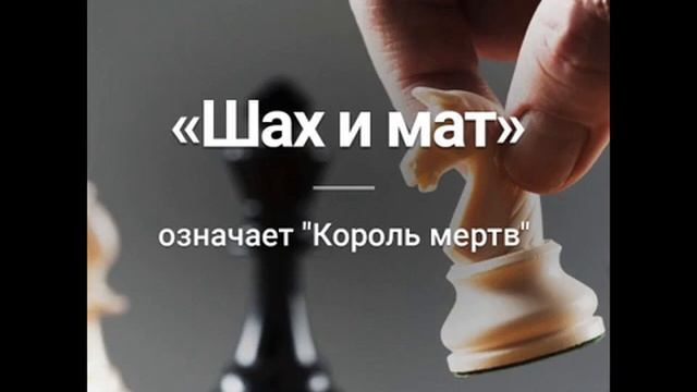 Давид Фиэрин - У нас всё идёт точно по плану