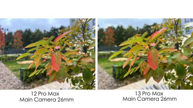 iPhone 13 Pro Max vs iPhone 12 Pro Max Camera comparison