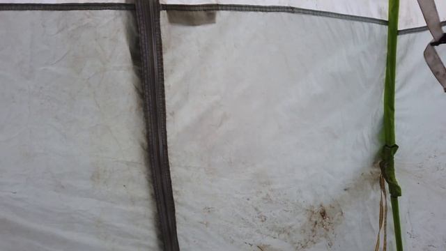 Варю ВОЛС под контролем.