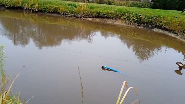 Вода из пруда. Использую для технических целей. Как сделать своими руками.вода прудскважина