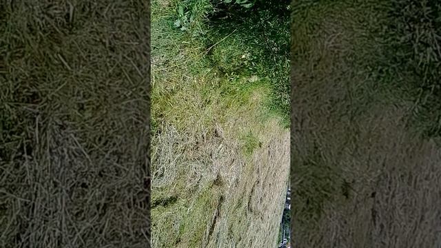 Граблі ворошилкі і юмз6