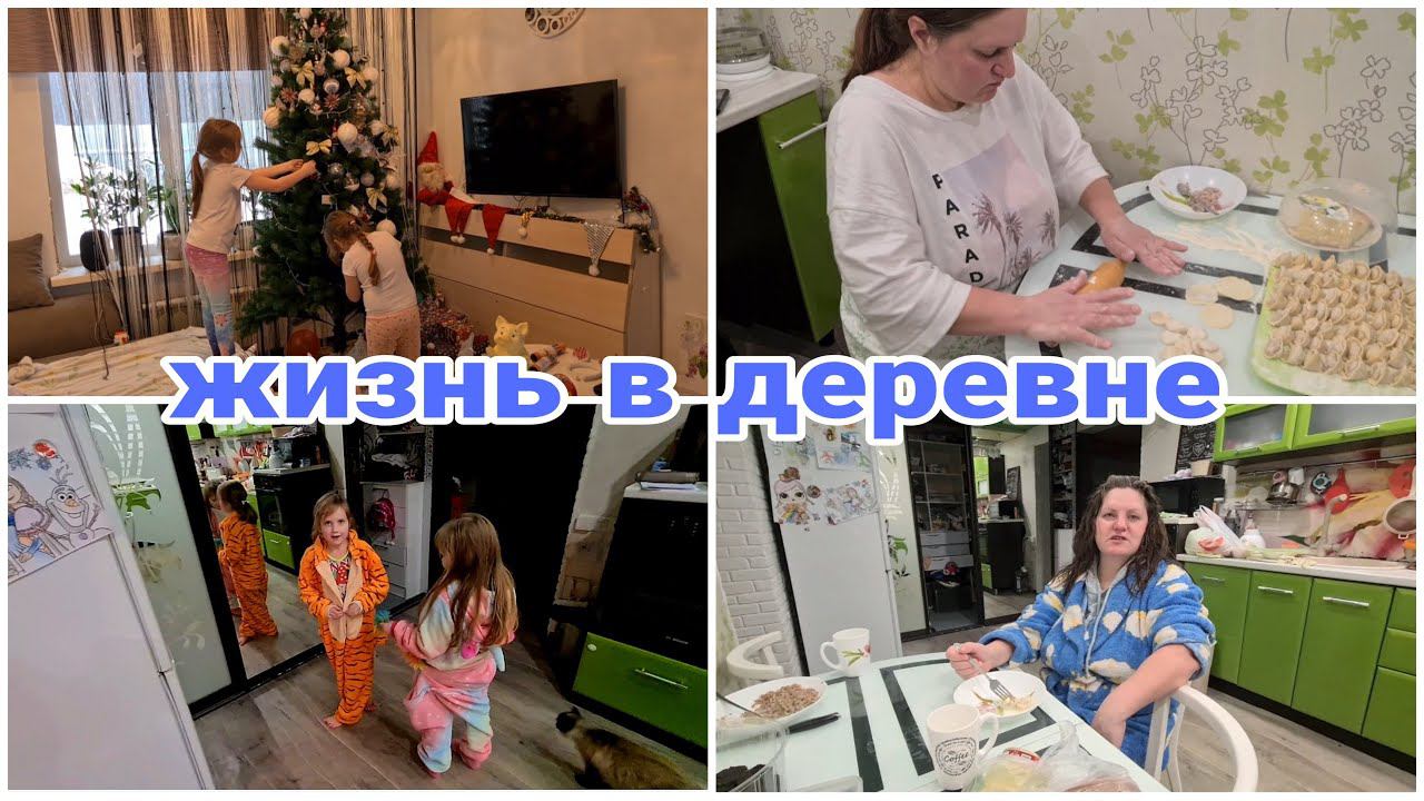 Убираем Новогоднюю елку.  Стряпаем пельмени всей Семьей. Топим баню. Жизнь в Деревне