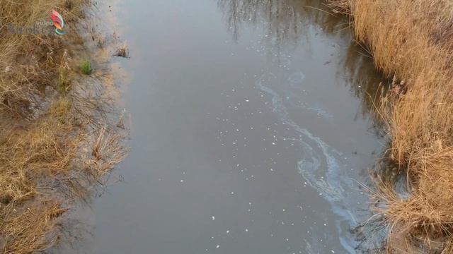 Масляное пятно- хорошо только в супе. Река Резекне
