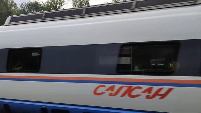 Электропоезд Сапсан ЭВС1 - 13 на скорости проходит пл. Берёзки дачные