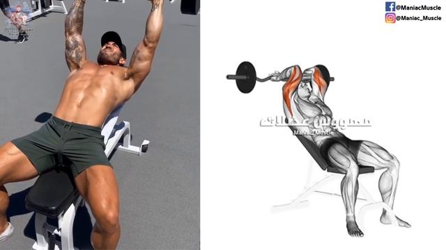 Full Body Barbell WORKOUT home(squats, chest, triceps, biceps, back, shoulder, wrist, Abs, oblique)
