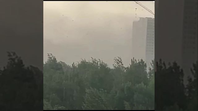 Мощный конвективный шторм со шквалом обрушился на Санкт-Петербург вечером 1 июля.