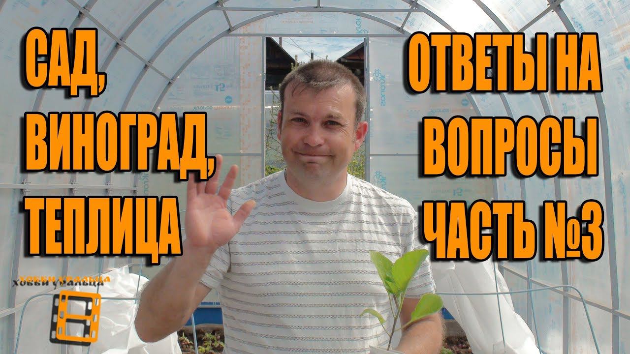 САД, ВИНОГРАД, ТЕПЛИЦА. №3 ОТВЕТЫ НА ВОПРОСЫ. ПРЯМЫЕ ТРАНСЛЯЦИИ