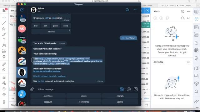 PalmaExecutor Tutorials: Connect TradingView Alert with Trade Execution.