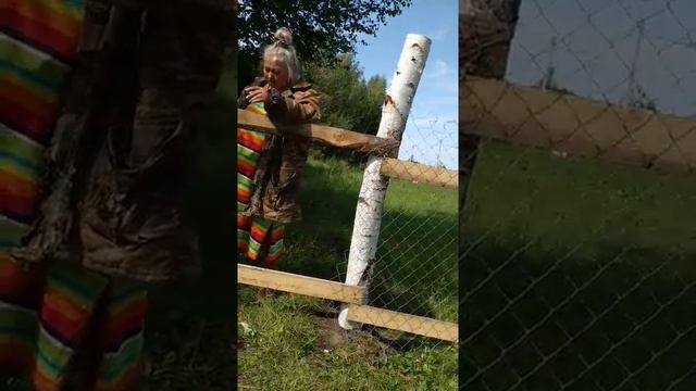 БЕШЕНАЯ БАБКА ЗАБРАЛА УЛИЦУ