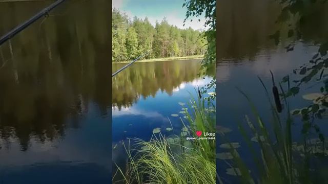 деревня востроеhttps://media.tenor.com/0gUdLqqdbXEAAAAM/nature-lake.gif