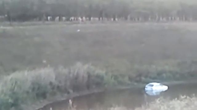 Русским Море по колено