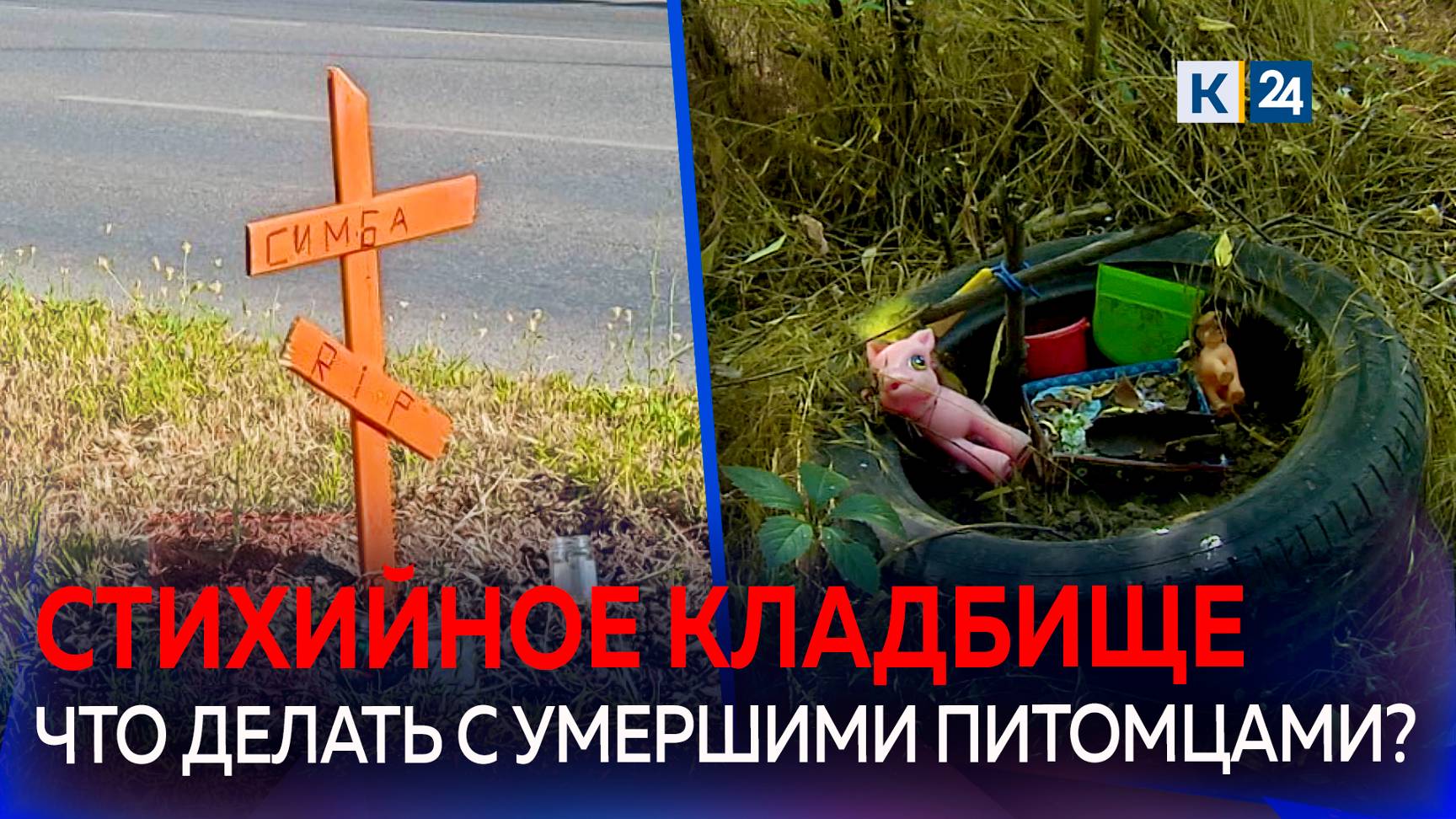 Неизвестные устроили в центре Краснодара похороны для домашнего питомца