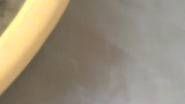 Рассаживаю  черную смородину из черенков
