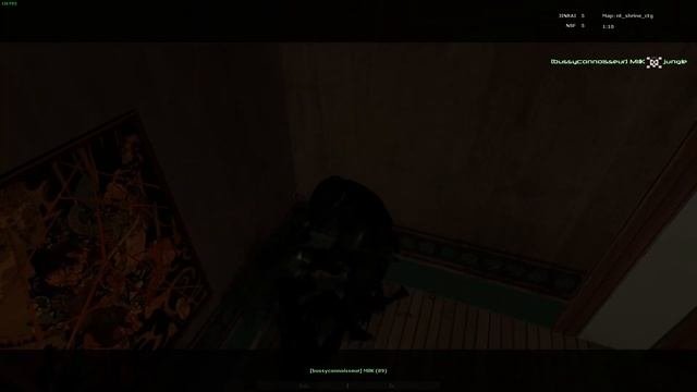 NeoTokyo players