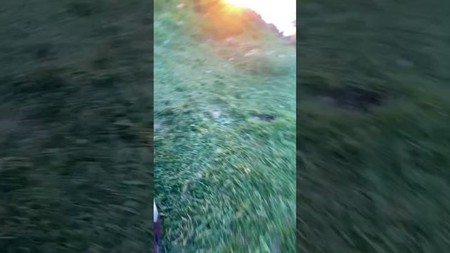 Ловим рыбу #shorts