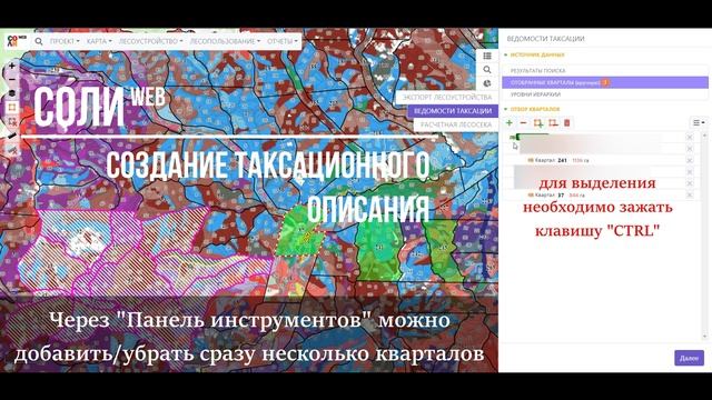 Формирование таксационных описаний в СОЛИweb
