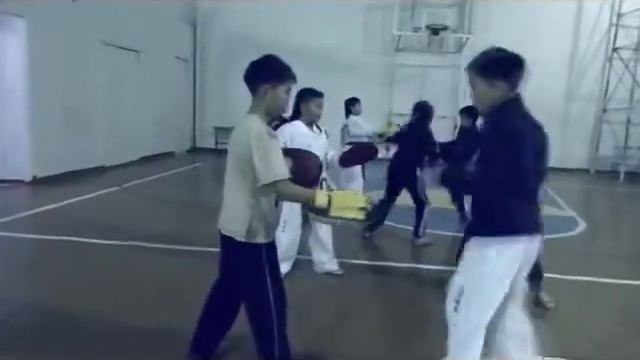 Тхэквондо Ирбис