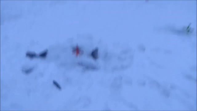 На рассвете форель предпочитает желтый сыр. Клёвое место, Лосиный остров.