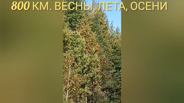 бесконечная дорога Родины