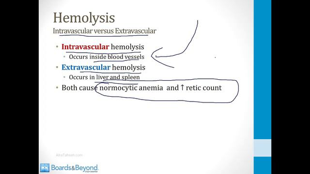 Hematology - 2. Red Blood Cells - 1.Hemolysis Basics atf