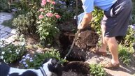 The Secret of Great Gardens – Fall is for Planting