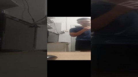 гачи в лесу