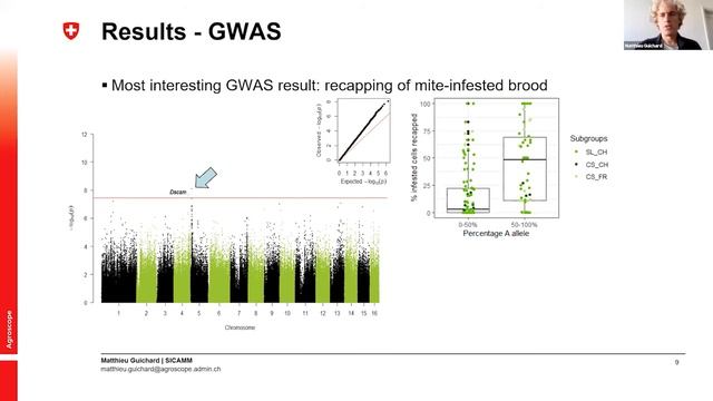 Matthieu Guichard - Unraveling the population genetics of the swiss dark bee