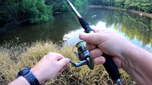More Topwater & Berkley Gulp Earthworms