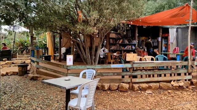 Лес обезьян. Израиль / Forest of monkeys. Israel/יער הקופים