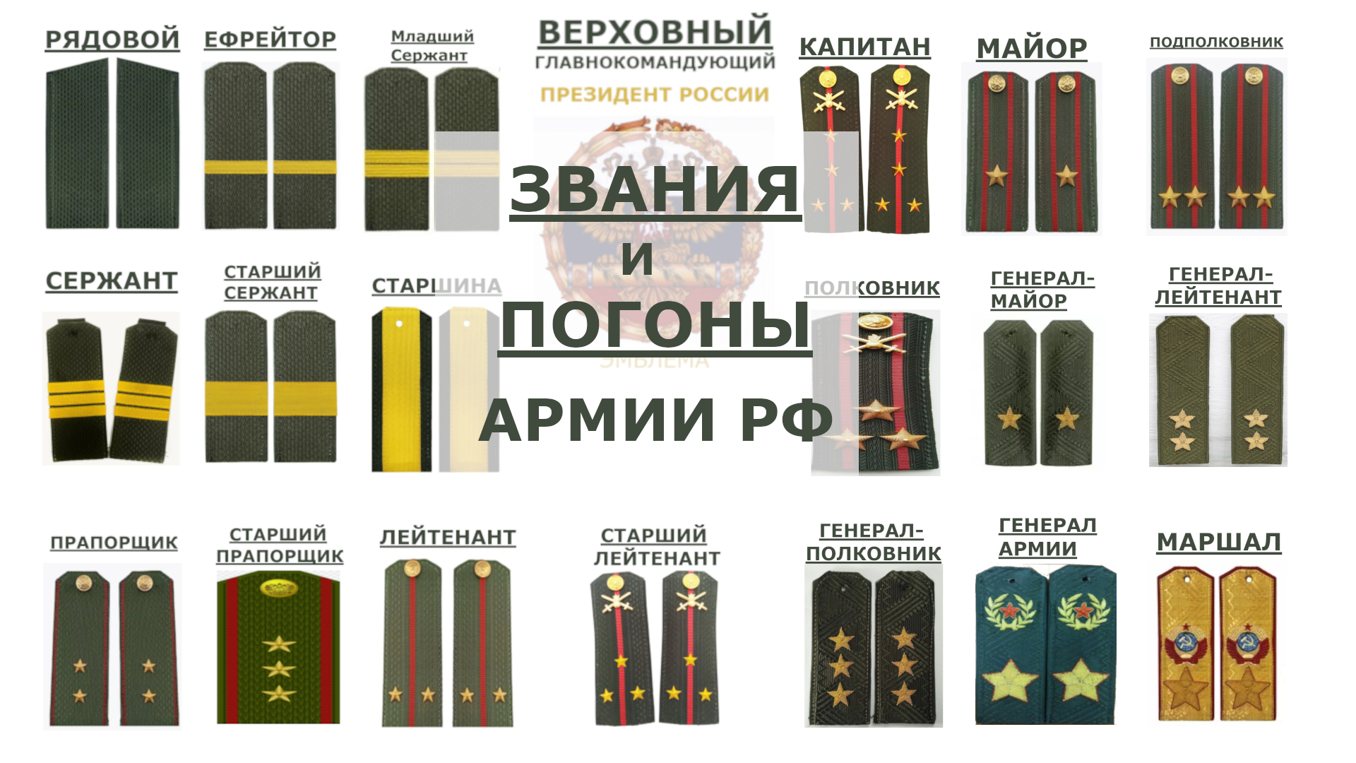 ✅ Погоны и военные звания армии России по возрастанию от рядового до верховного главнокомандующего