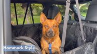 4-in-1 Dog Car Seat Cover Installation Guide | APAWLO Pets