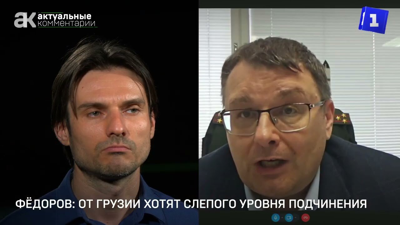 Евгений Федоров: США добиваются от Грузии украинского уровня подчинения