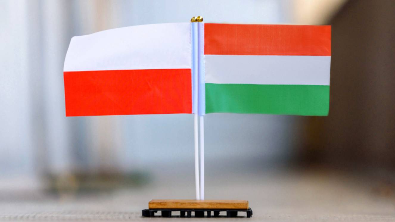 Новый раскол: дипломатический скандал разгорелся между Польшей и Венгрией