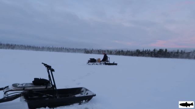 Собачно-снегоходные поездки за окунями.
