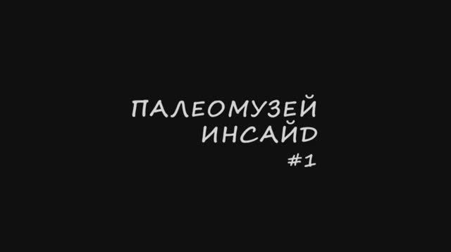 Палеомузей инсайд. Выпуск 1. Академик А.В. Лопатин об индрикотерии