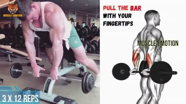 15 BEST Exercises for Bigger Forearms Workout