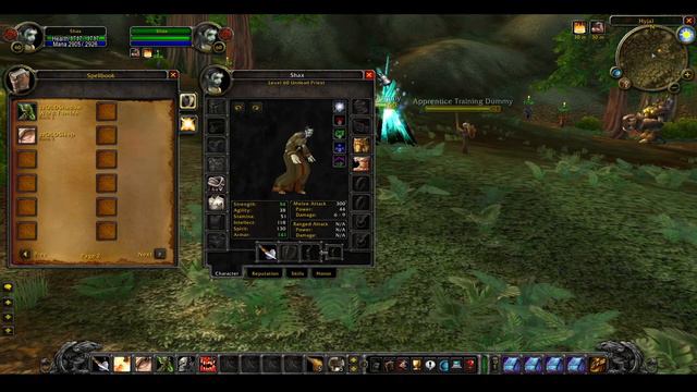 Classic WoW: Lost Spells: Priest