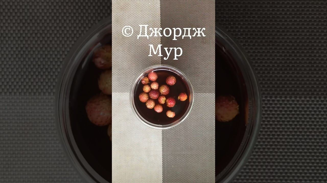 #Цитата о доме. Джордж Эдвард Мур - английский философ #дом