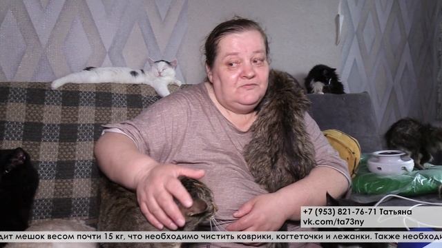 Кошачьему дому Татьяны Лапшиной необходима помощь