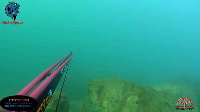 Pesca Submarina Lubinas despues del temporal