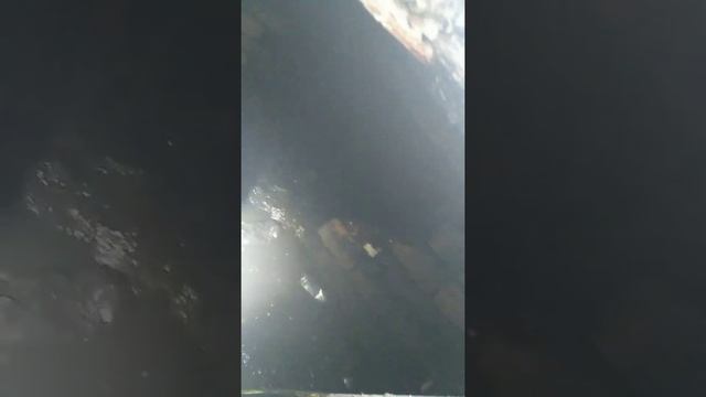 Реставрация выгребной ямы
