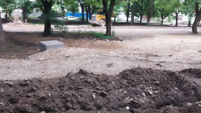 210 создание аллеи по улице буачидзе