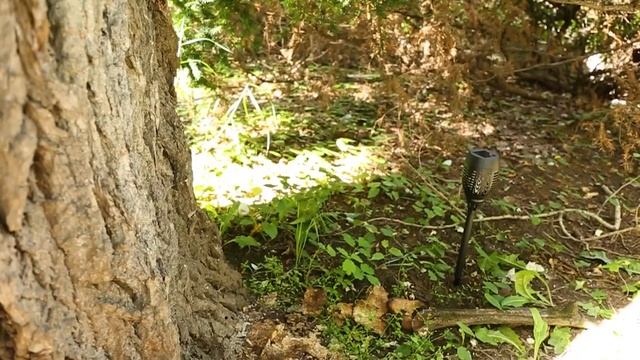Садовый светильник на солнечной батарее СТАРТ САД 36LED Маори Огонь