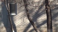 КАК СЬЭКОНОМИТЬ НА ПЛАСТИКОВЫХ ОКНАХ